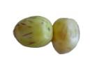 pépinos: Fruit juteux