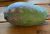 mangue